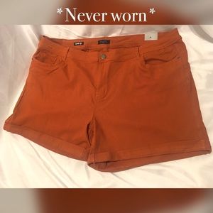 Plus Size Shorts | Size 24